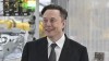 Elon Musk's Warning: Is Pickleball Set to Crush Tennis?